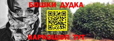 гидра Краснокаменск
