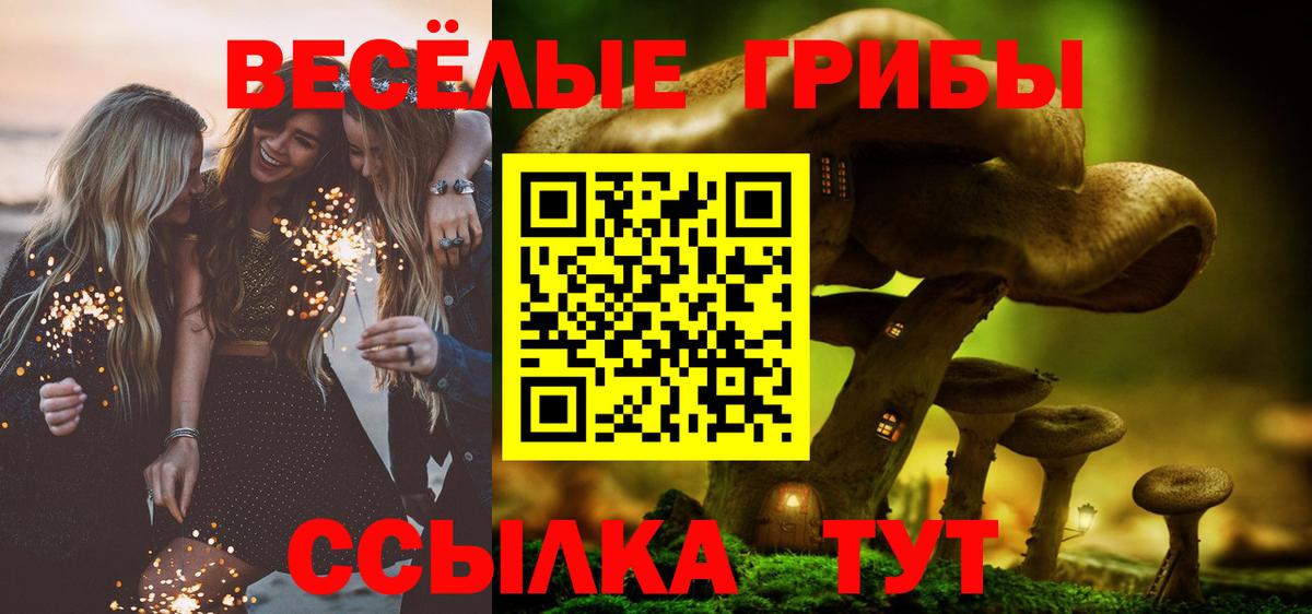 Псилоцибиновые грибы Cubensis  Вход с VPN  Чита  Галлюциногенные грибы Magic Shrooms 